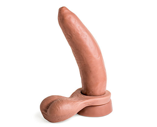 Ramrodder Hankeys Toys Dildo Stood Up